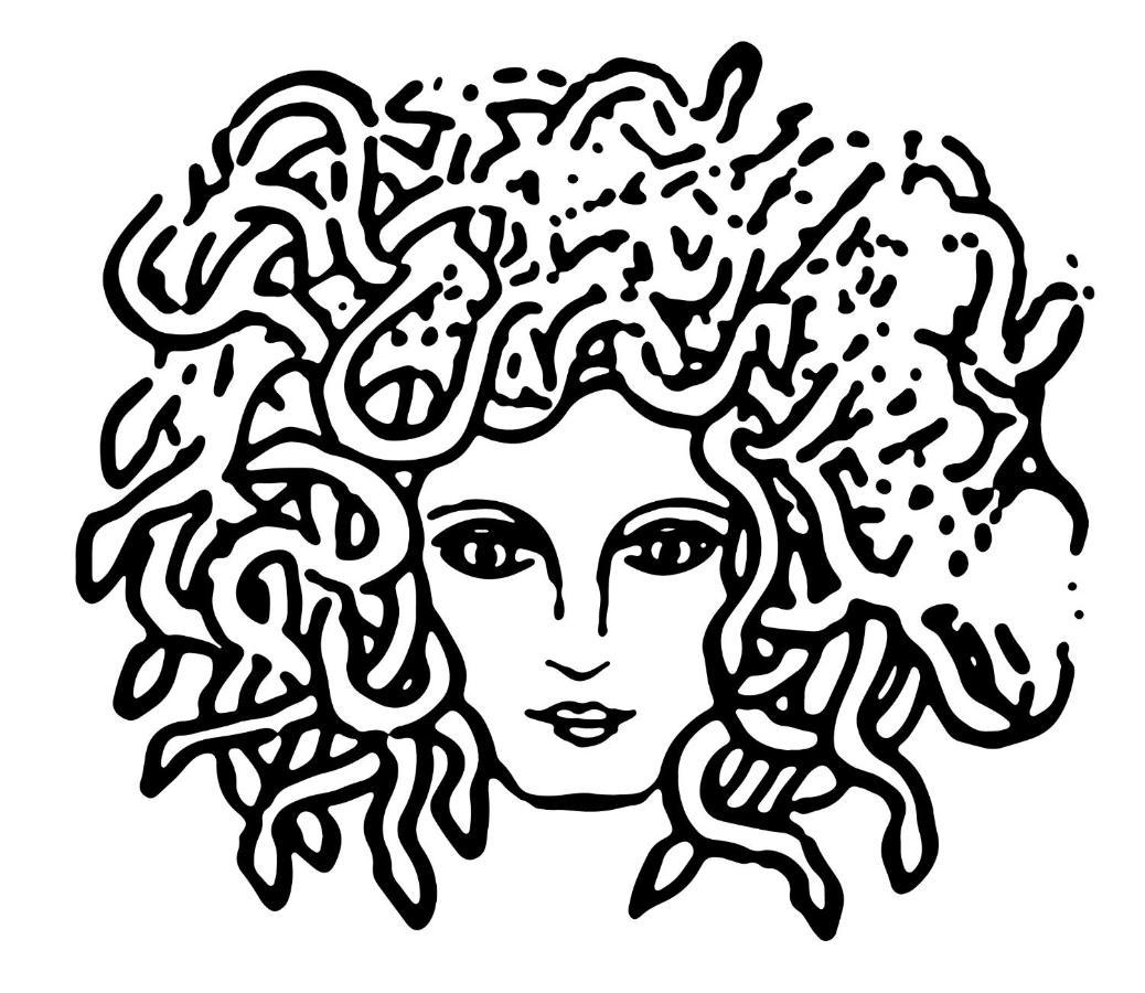 Medusa Duomo Guest House Napoli Eksteriør billede